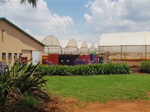 17.6 ha Farm in Tarlton