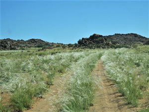 6721 ha Farm in Pofadder
