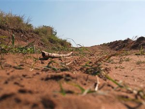 1390 m² Land available in Seaton Estate