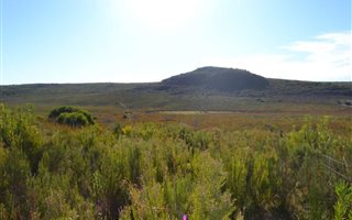 292 ha Farm in Albertinia