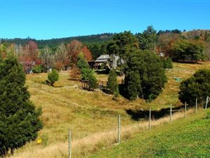 14 ha Farm in Howick