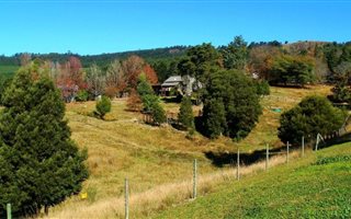 14 ha Farm in Howick