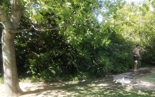 3 Bedroom House in Olivedale