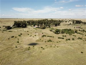 850 ha Farm in Oranjeville