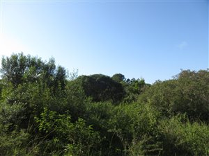 1420 m² Land available in Bathurst and Surrounds
