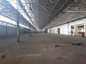 6000 m² Commercial space in Jacobs