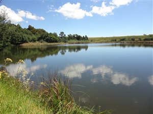 196 ha Farm in Dullstroom