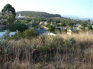 1675 m² Land available in Heidelberg