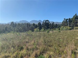 22200 ha Farm in Firlands