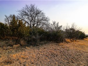 1226 m² Land available in The Ridge Estate