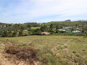 4007 m² Land available in Kanonkop