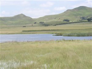 604 ha Farm in Mooi River