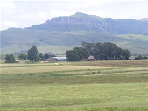 604 ha Farm in Mooi River