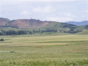604 ha Farm in Mooi River