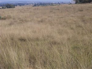8 ha Farm in Bronkhorstspruit