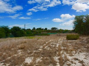 4.4 ha Farm in Morningstar