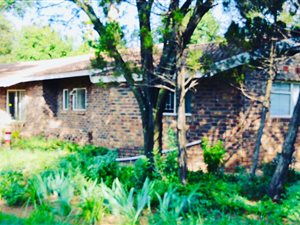 4 Bed House in Irene Park