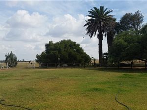 456 ha Farm in Delareyville