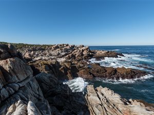 3.6 ha Farm in Bettys Bay