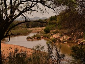 1238 ha Farm in Gravelotte