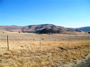 809 ha Farm in Newcastle Central
