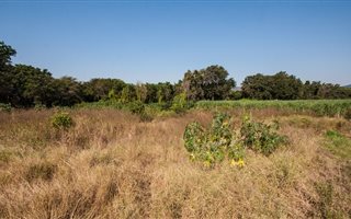 580 m² Land available in Malelane