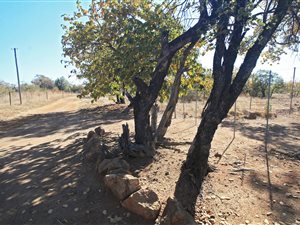 22 ha Farm in Bela-Bela (Warmbaths)