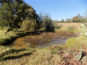 6 ha Farm in Rustenburg Central