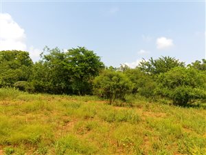 1221 m² Land available in Hazeldean (Silverlakes Surroundings)