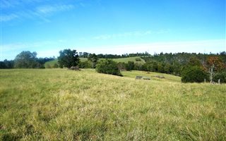 3 ha Farm in Rheenendal