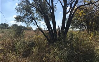 1.4 ha Land available in Chartwell