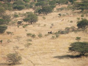 470 ha Farm in Estcourt