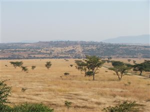 470 ha Farm in Estcourt