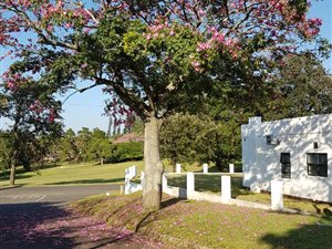 4 Bed House in Felixton
