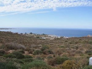 1.1 ha Farm in Britannica Heights