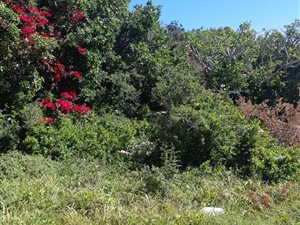 686 m² Land available in Kenton-on-Sea