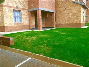 2 Bedroom Apartment in Noordwyk