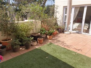 3 Bed Apartment in Parkview