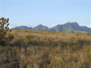639 ha Farm in Humansdorp