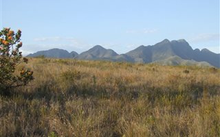 639 ha Farm in Humansdorp