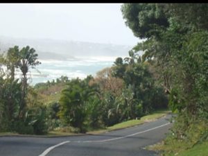 1236 m² Land available in Trafalgar