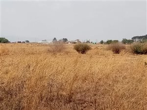 1053 m² Land available in Riversdale