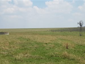 166 ha Farm in Heilbron