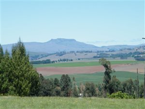 8 ha Farm in Rosetta