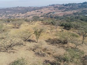 1.5 ha Land available in Wild Fig Estate