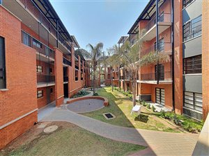 1 Bed Apartment in Melrose North
