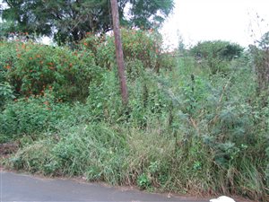 408 m² Land available in Westgate