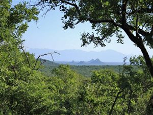 731 ha Farm in Hoedspruit