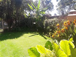 3 Bed Townhouse in Vanderbijlpark SW5