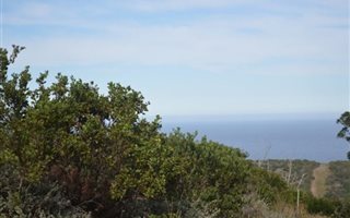 3999 m² Land available in Pezula Private Estate
